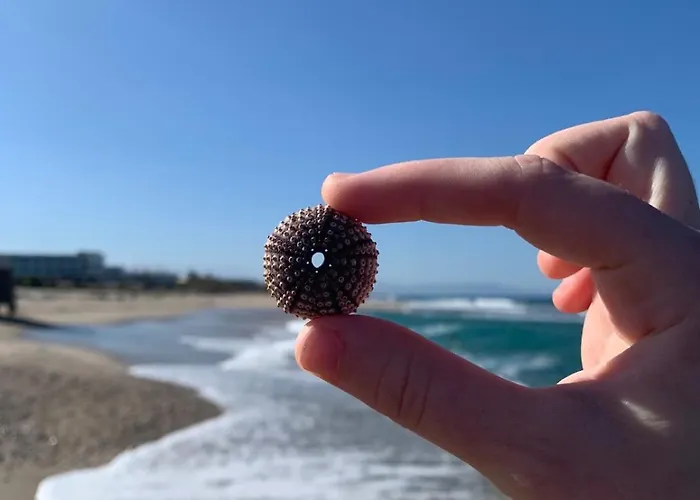 Khroma Luxury 3- Front شقة *